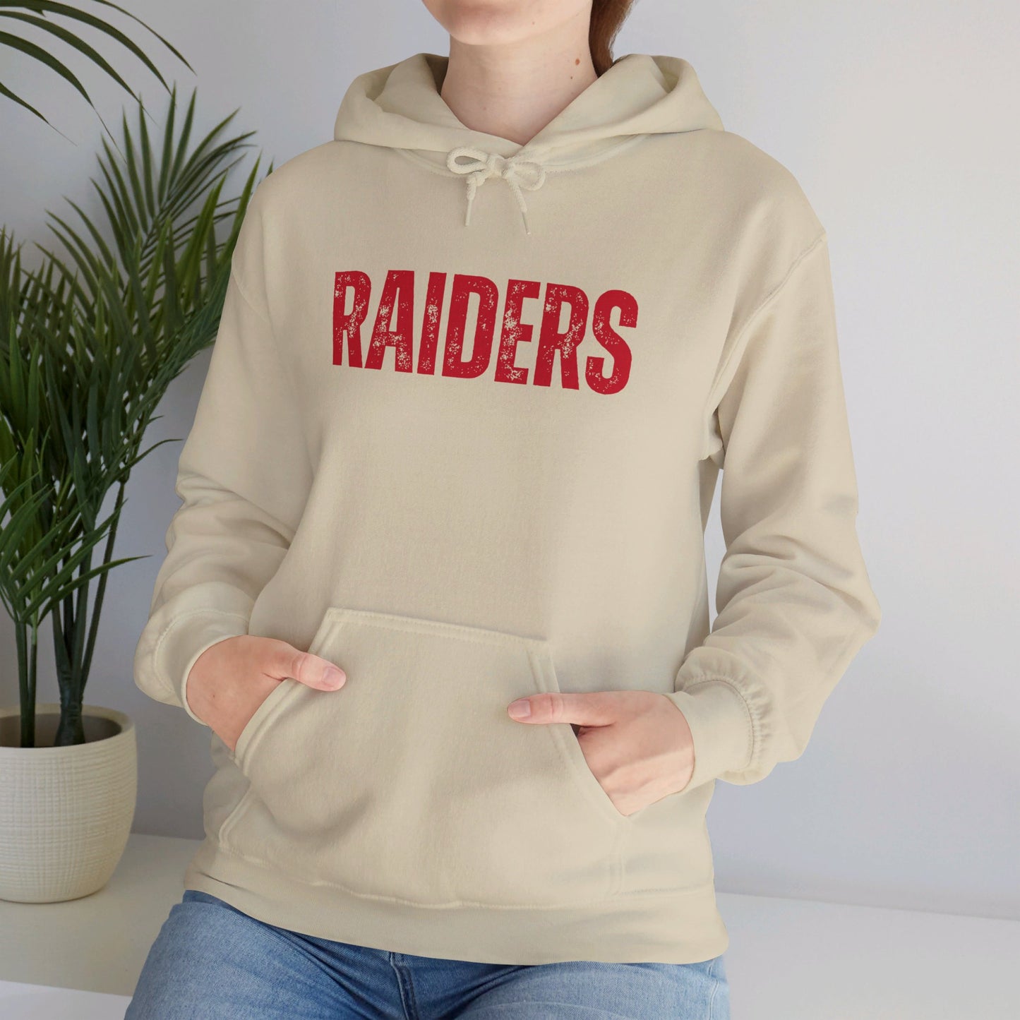 Raiders Hoodie